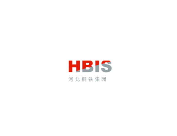 Hebei Iron and Steel Group co.,ltd.
